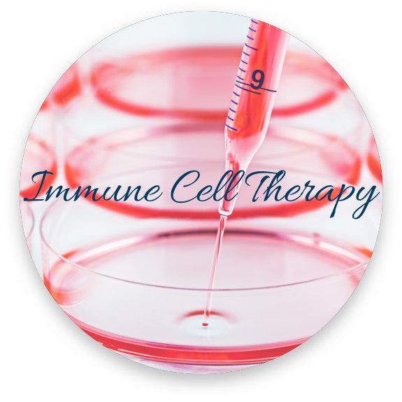 Immune Cell Therapy